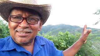 El. cerro. de. veladero  de. acapulco