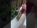 DIY Thrift mirror and bowls