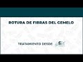 Rotura Fibrilar del Gemelo. Tratamiento de Fisioterapia - FisioClinics Logroño