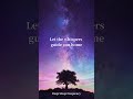 Ethereal Whispers: A Sanctuary for Deep Sleep
