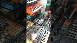 Roland Boutique JP-08 - Mam MB-33 - Hydrasynth 888- Aira P6 - MC-101 #synthesizers #synth #live