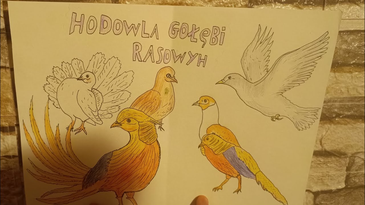 Co u ptaków. Pokaz młodych i proszę obczaj opis