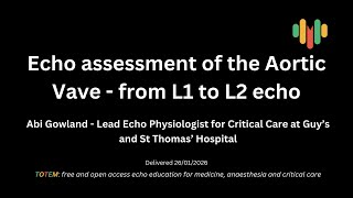 Echo assessment of the Aortic Valve with Abi Gowland - TOTEM