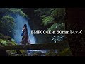 BMPCC4K｜OLYMPUS M.ZUIKO DIGITAL 25mm F1.8｜佐賀県御手洗の滝