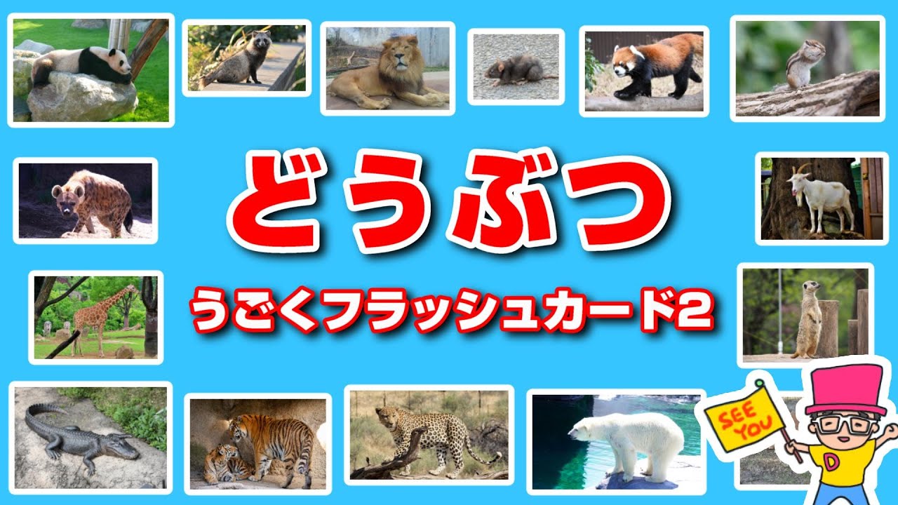 Animal Names] Educational Flash Cards 2 - Learn with Videos: Panda