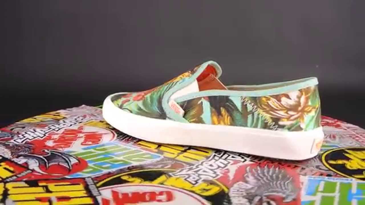 vans comina