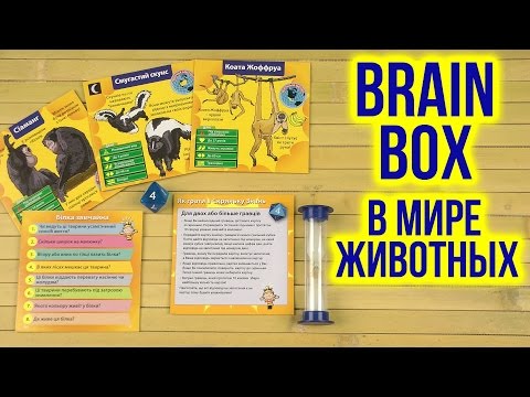 Распаковка BrainBox В мире животных