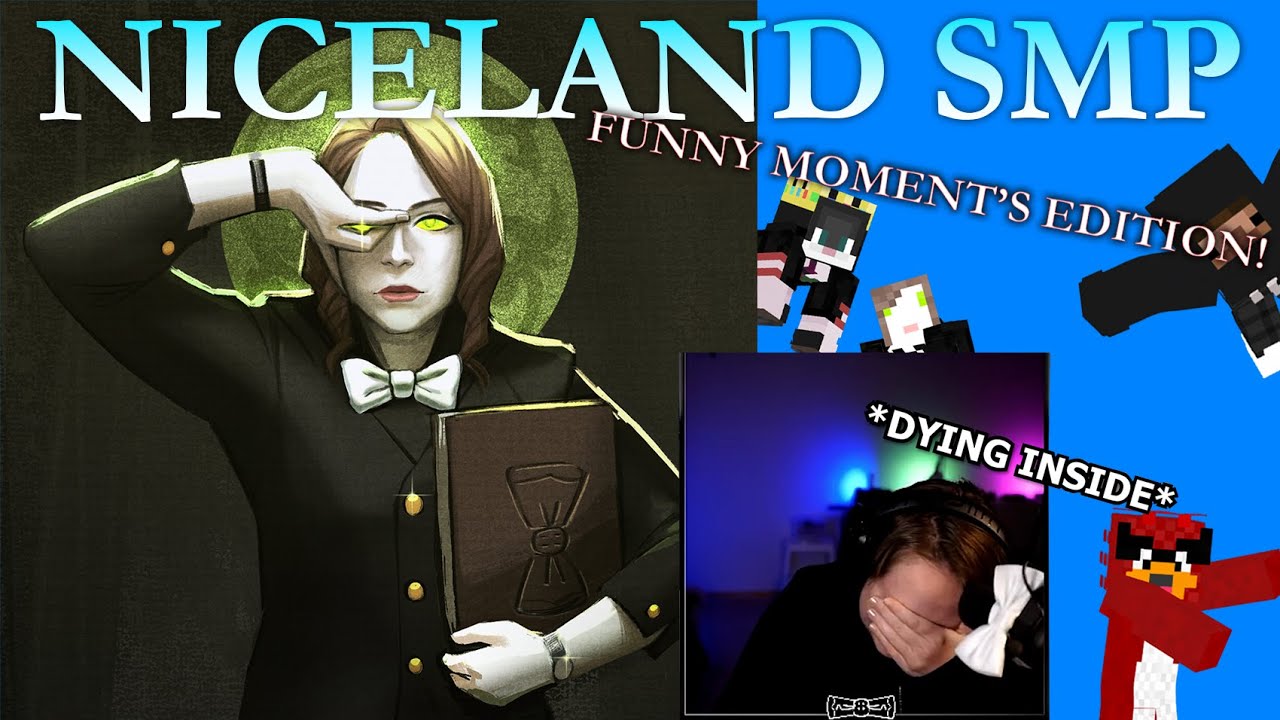 NICELAND FUNNY MOMENTS