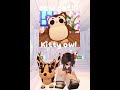 New adopt me pet kitty owl #edit#adoptme#pet#new#roblox#kitty#owl#cat#cute