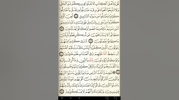 ماهر المعيقلي سورة المائدة مكتوبة صفحة 121 مصحف المدينة المنورة جودة عالية