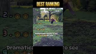 Ducks and geese?#funny #foryou #funnyvideo #fyp #funnytiktok #Interesting #videos #fun #duck #geese