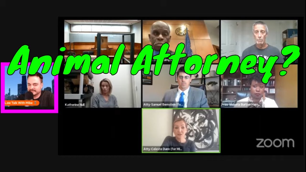 Animal Attorney Strikes Again! - Dog Days #5