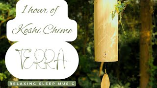 1 Hour Earth Meditation with Koshi Chimes TERRA | ASMR Binaural Sound | 4K Experience