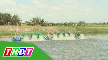 Chuyển đổi đất trồng lúa kém hiệu quả sang cây trồng khác | THDT