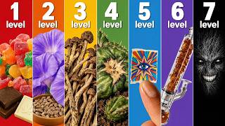 The 7 Levels of Psychedelic Drugs