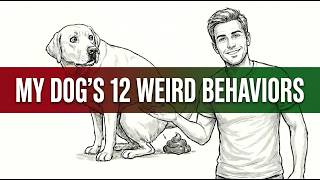 12 Strange Things Dogs Do and Why || Dog Psychology || Mind of the Bark
