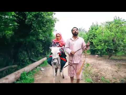 سولاف جليل تركب الحمار 
