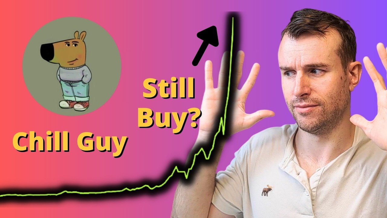 How High Can Chill Guy Go? ⚠️ Chillguy Crypto Token Analysis