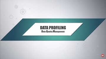 appMDM Data Profiling Data Quality Management (DQM) - Chain-Sys