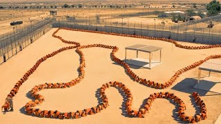 To Avoid Feeding 500 Prisoners, They Are Sewn Together Like A Millipede. Now Only The First One Eats