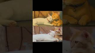 #ghibliart #ghiblistyle #likesharesubscribe #mycat