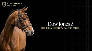 Dow Jones Z-Zangersheide Hengstpräsentation 2026 ( GER )