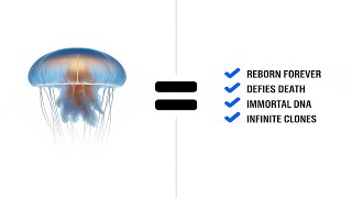 What Scientists Discovered Inside This Jellyfish Will Blow Your Mind