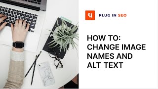 Plug In SEO: How to Change Image Filename and Image ALT text
