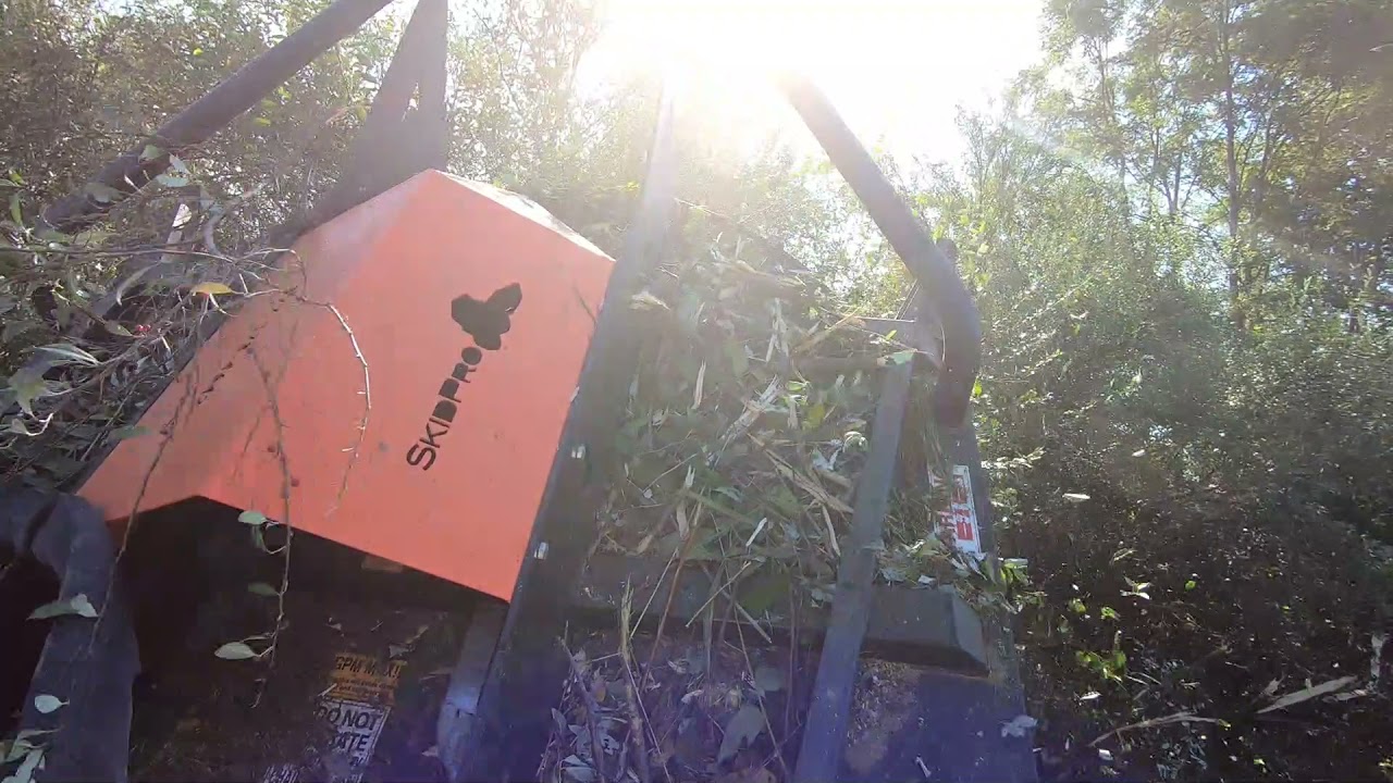 SKID PRO Brush cutter vs Autumn Olives