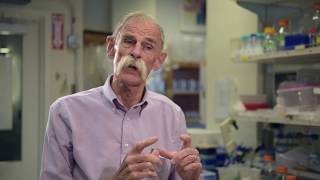Nick Spitzer Biological Sciences at UC San Diego