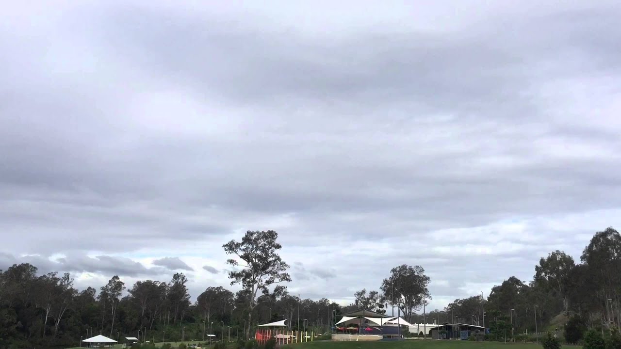 Roku enjoying his exercise YouTube