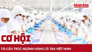 Cơ hội tái cấu trúc ngành hàng cá tra Việt Nam | Báo Nhân Dân