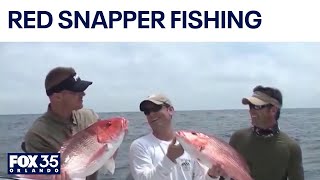 Federal judge halts Florida red snapper fishing in federal waters