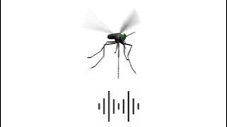 EFEK SUARA NYAMUK MENGGANGGU/ANNOYING MOSQUITO SOUND EFFECT