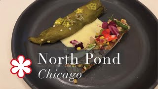 Nature-Centric Michelin Star Restaurant in Lincoln Park | Chicago