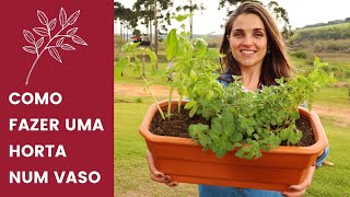 COMO FAZER uma HORTA num VASO para pequenos espacos
