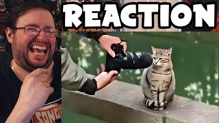 Gor's "UNUSUAL MEMES COMPILATION V265 by UnusualVideos" REACTION
