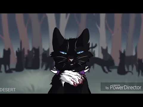 Outside // Warrior Cats  -Animator Tribute-