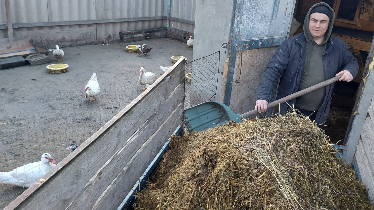 Смотреть видео Смотреть видео