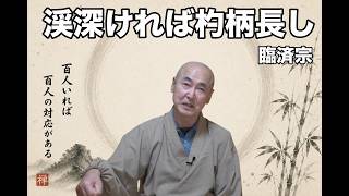 Zen Phrase 