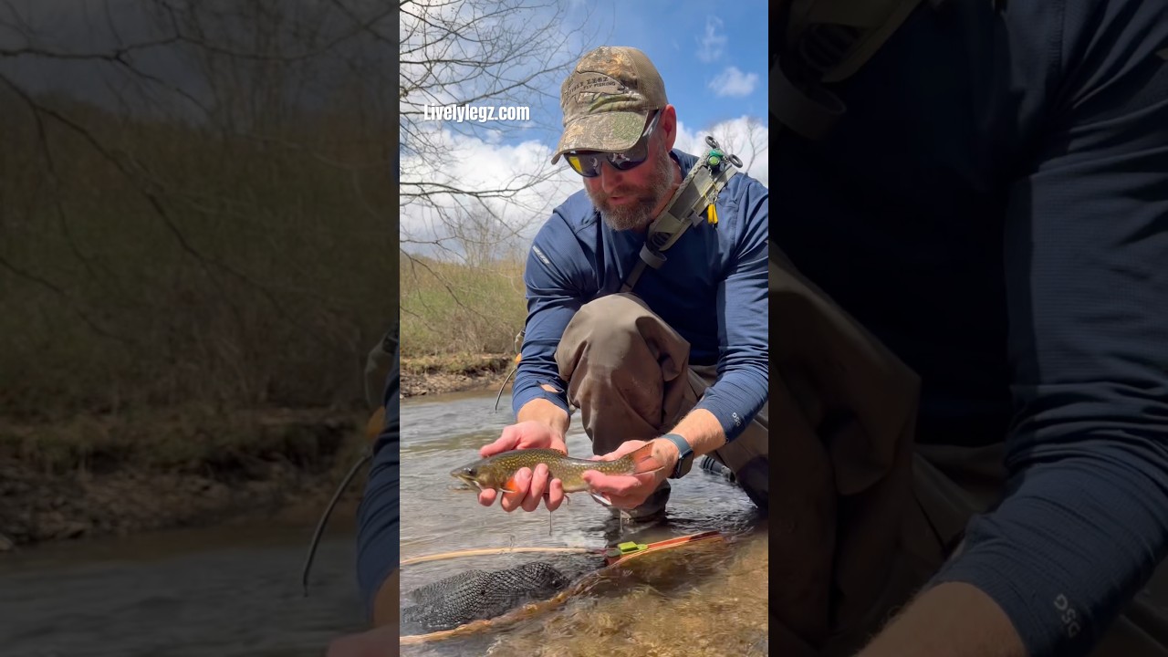 #catchandrelease #flyfishing #euronymphing #troutfishing #trout