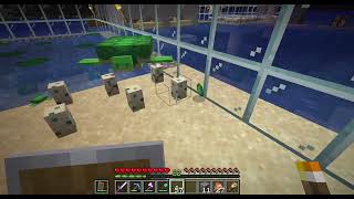 Watch Turtle Eggs Hatching and Baby Turtle Growing Up - Minecraft Java 1.19