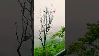 Must Visit Place In Coorg