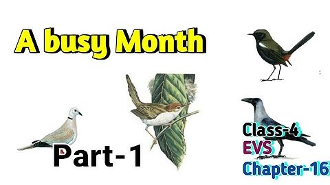 A Busy Month Class 4 EVS (Looking Around)Chapter‐16 (Part-1)with question answer @NCERTTHEMIND