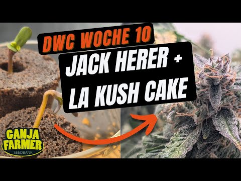 EC/ pH entgleist? 🤯 So drehen wir es in BW6 zurück