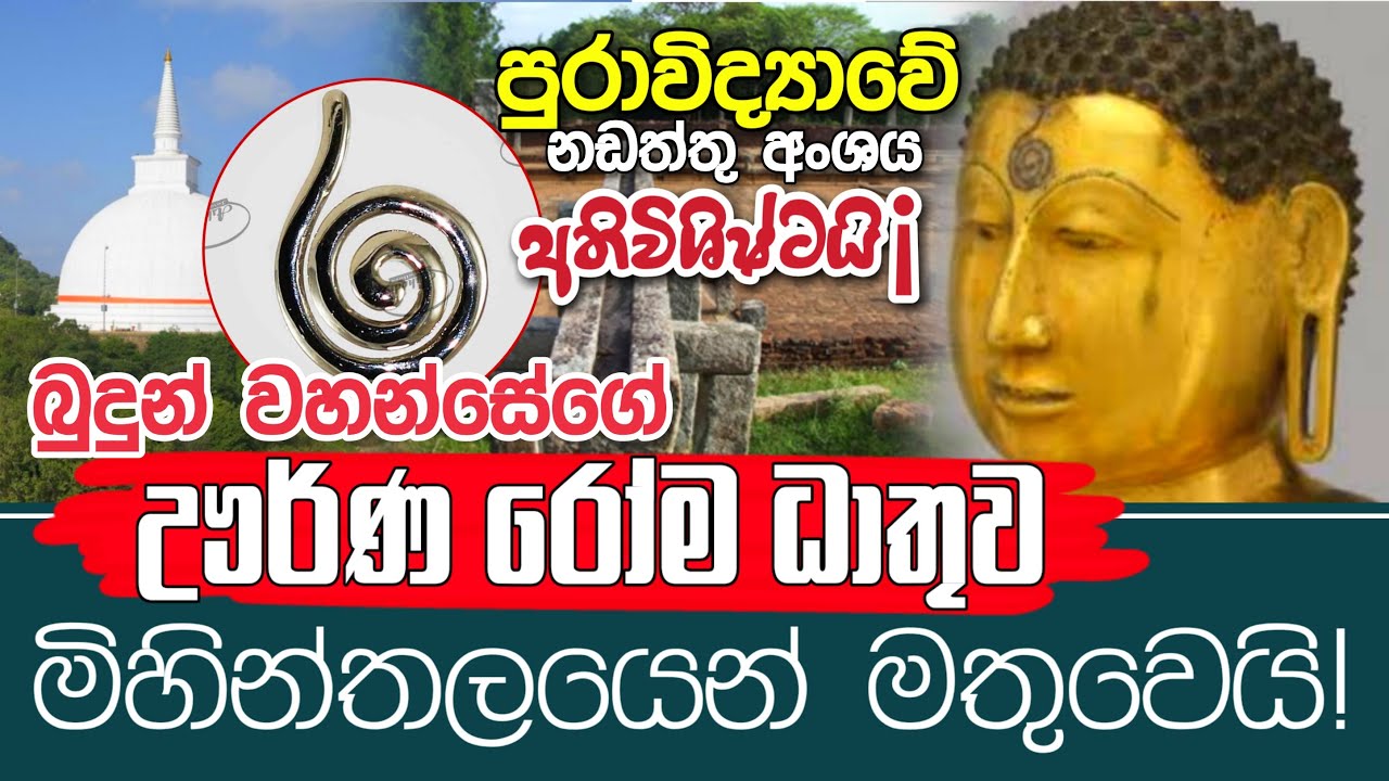 බුදුන්ගේ ඌර්ණ රෝම ධාතුව මිහින්තලෙන් මතුවේ