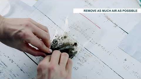 How To Do a Faecal Egg Count Test For Horses