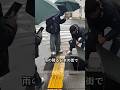 雨の中の観光客と、小さな命