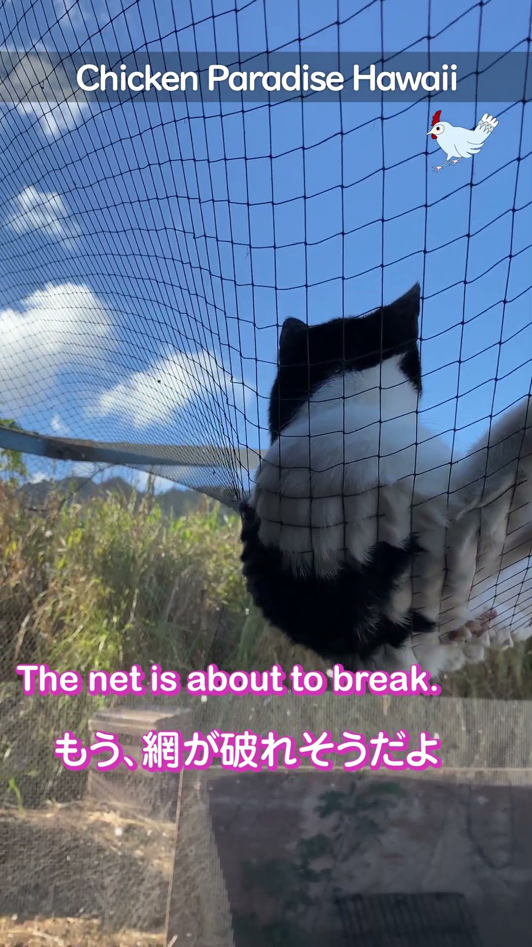 Careful on the net!