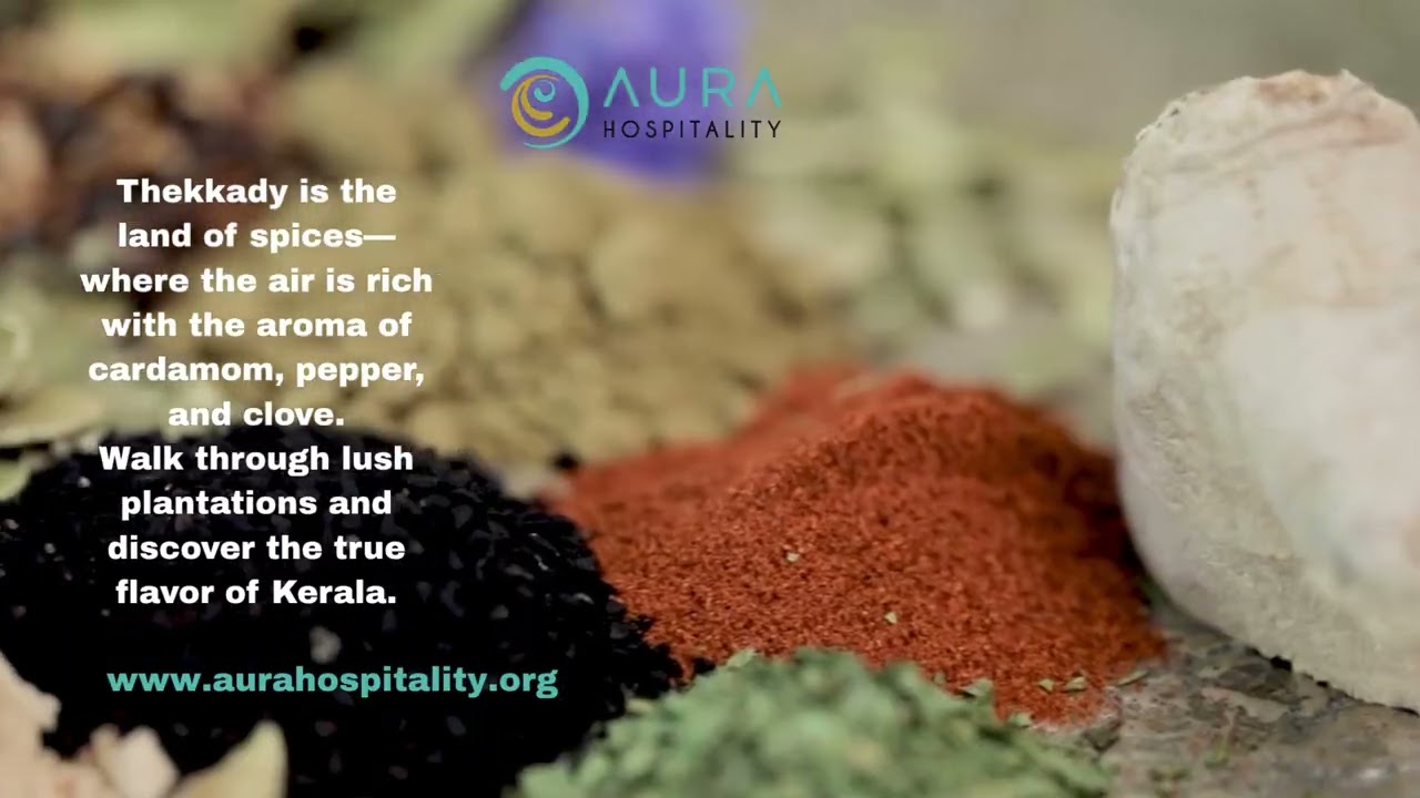 🌿 Thekkady – Nature, Wildlife & Serenity in Kerala | Aura Hospitality 🐘